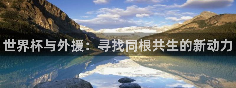 世界杯赛程表2026：世界杯与外援：寻找同根共生的新动力