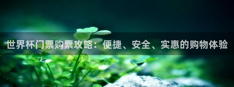 足球世界杯：世界杯门票购票攻略：便捷、安全、实惠的购物体验