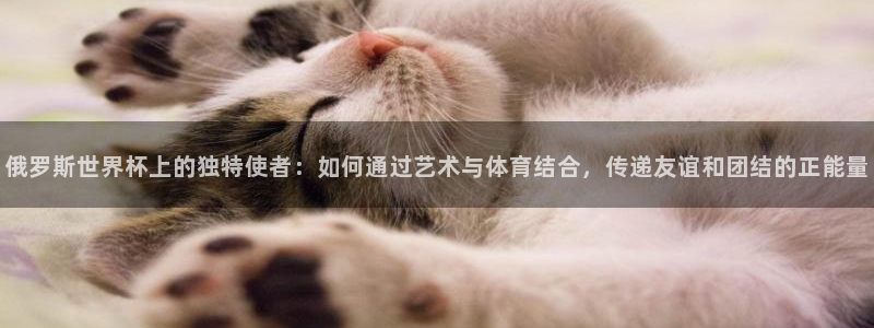 免费看足球直播比赛：俄罗斯世界杯上的独特使者：如何通过艺术与体育结合，传递友谊和团结的正能量