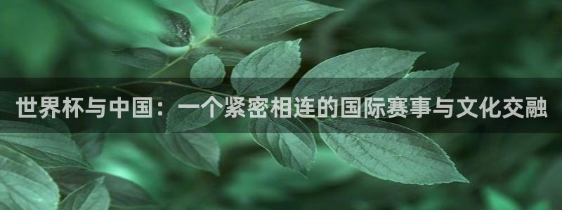 世界杯足球比赛：世界杯与中国：一个紧密相连的国际赛事与文化交融