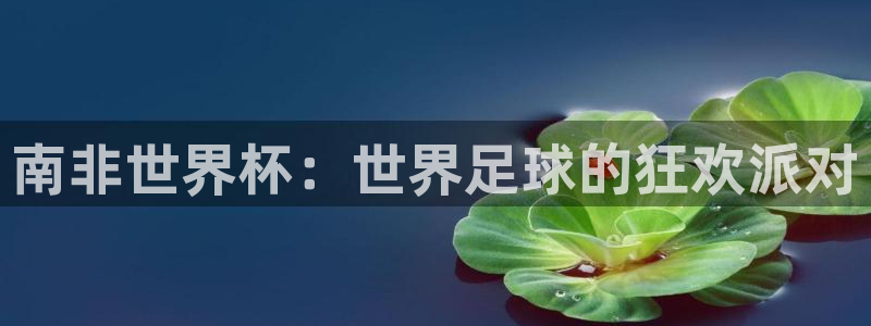 2026足球世界杯：南非世界杯：世界足球的狂欢派对