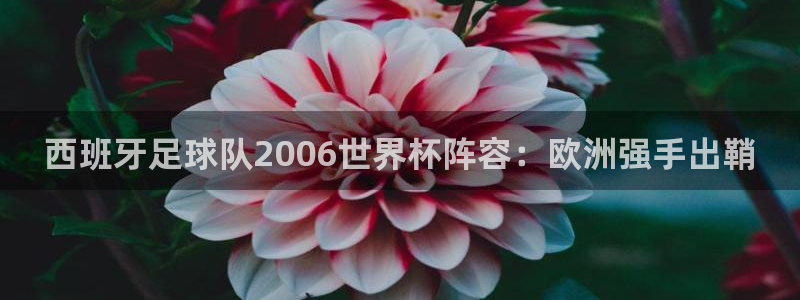 世界杯预选赛规则：西班牙足球队2006世界杯阵容：欧洲强手出鞘