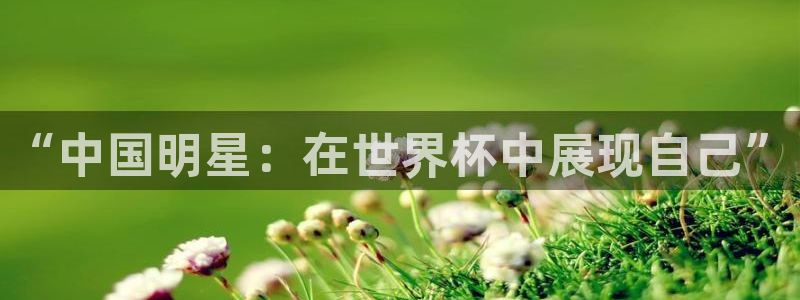 足球杯：“中国明星：在世界杯中展现自己”
