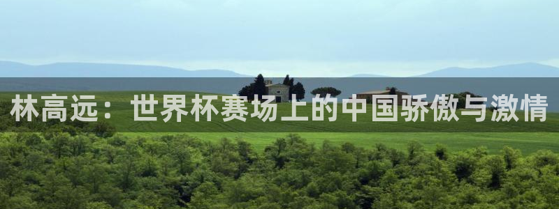 2026足球世界杯：林高远：世界杯赛场上的中国骄傲与激情