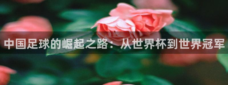 世界杯16强赛程表：中国足球的崛起之路：从世界杯到世界冠军