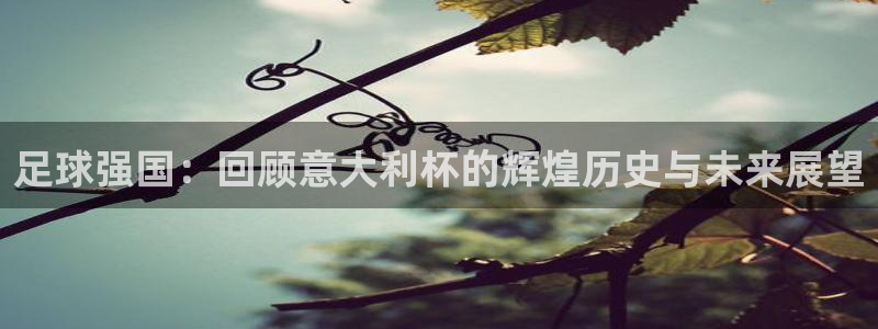 世界杯对阵表：足球强国：回顾意大利杯的辉煌历史与未来展望