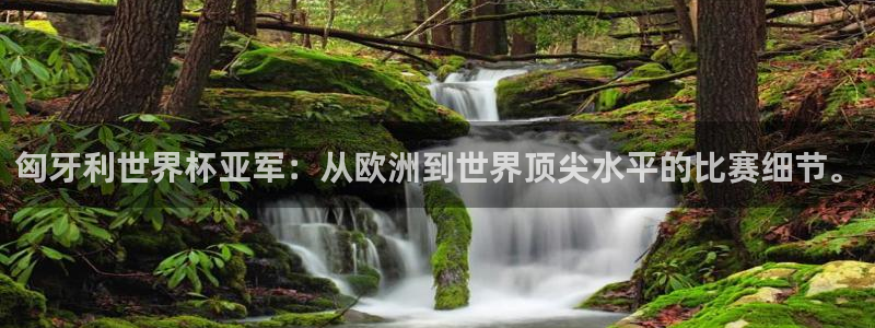 2026年世界杯时间表：匈牙利世界杯亚军：从欧洲到世界顶尖水平的比赛细节。