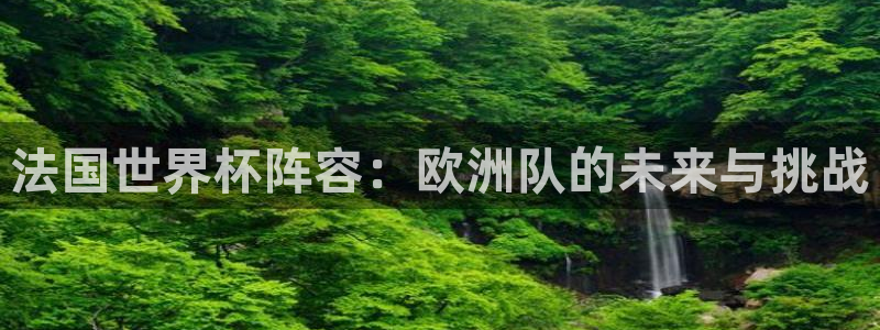 世界杯 2026：法国世界杯阵容：欧洲队的未来与挑战
