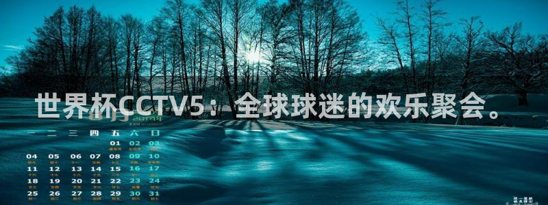 亚洲杯足球：世界杯CCTV5：全球球迷的欢乐聚会。