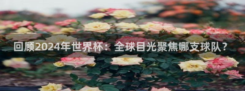 世界杯小组赛赛程：回顾2024年世界杯：全球目光聚焦哪支球队？