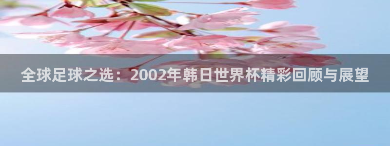 2026年世界杯对阵图：全球足球之选：2002年韩日世界杯精彩回顾与展望