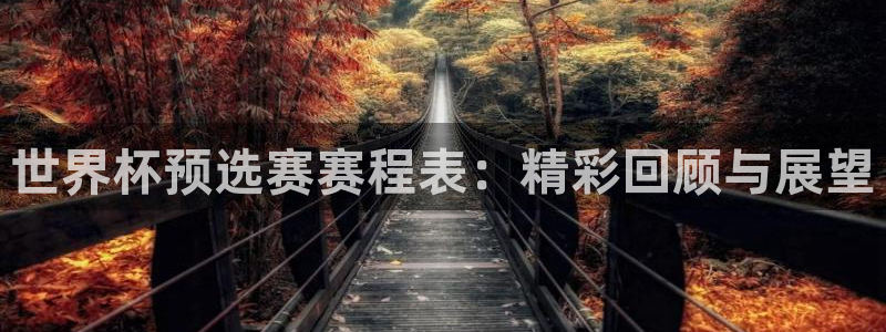 2026足球世界杯赛程时间表：世界杯预选赛赛程表：精彩回顾与展望