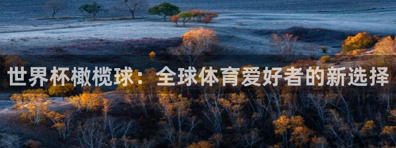 英格兰联赛杯直播：世界杯橄榄球：全球体育爱好者的新选择