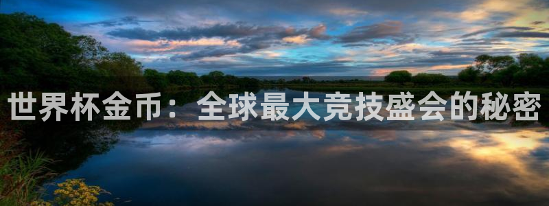 世界杯直播观看：世界杯金币：全球最大竞技盛会的秘密
