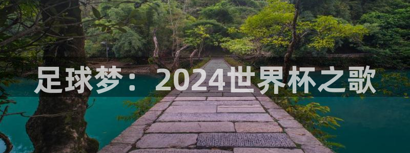 世界杯转播表：足球梦：2024世界杯之歌